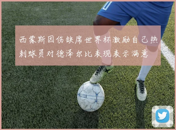 西蒙斯因伤缺席世界杯激励自己热刺球员对德泽尔比表现表示满意